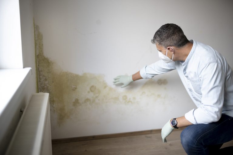 rising damp hereford